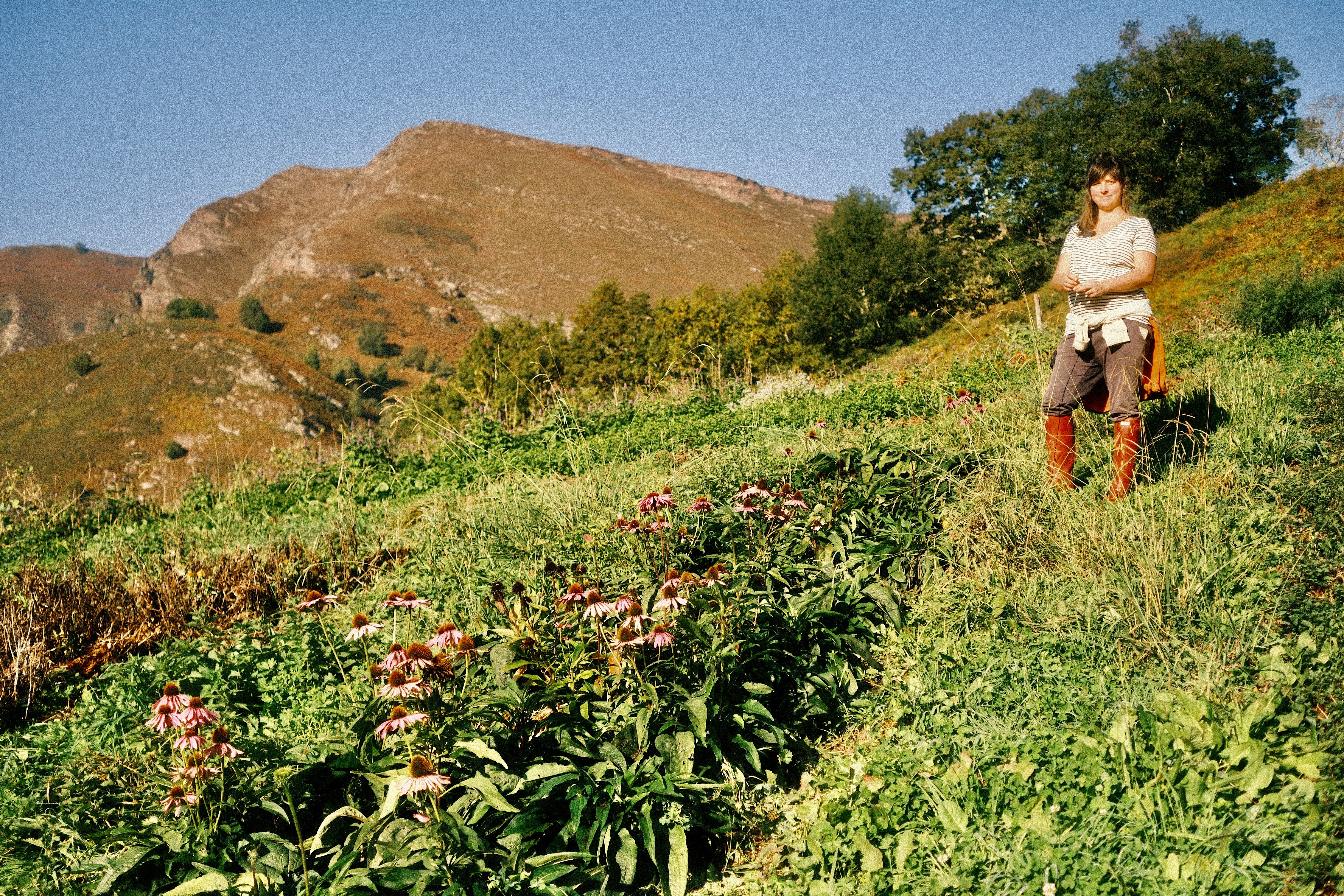 Herboriste (Pays Basque) 